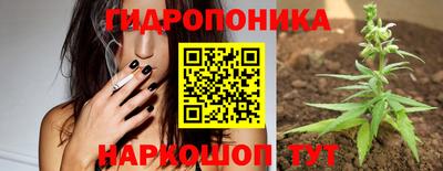 спиды Партизанск