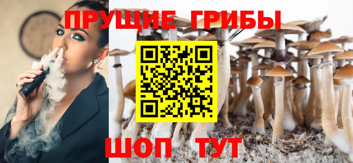 Псилоцибиновые грибы мухоморы  купить наркотики цена  Рубцовск  Вход с VPN 